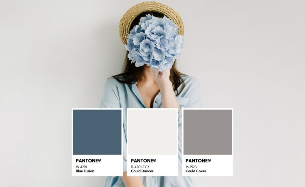 roll up publicitario colores